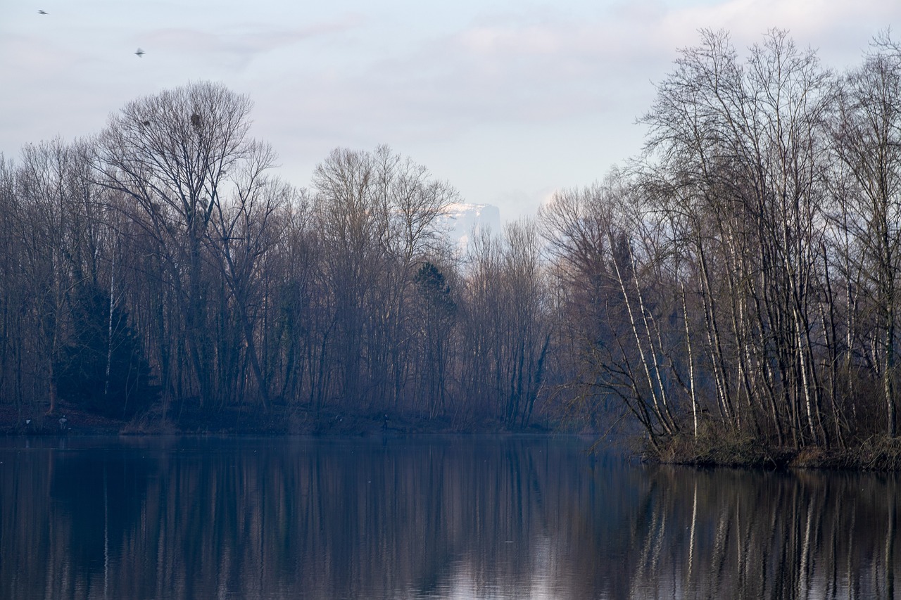 Aménageons les bords du Rhône en aval du pont Sous-Terre